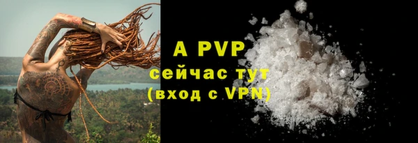 a pvp Володарск