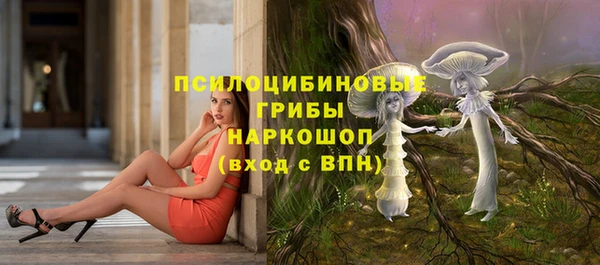 a pvp Володарск