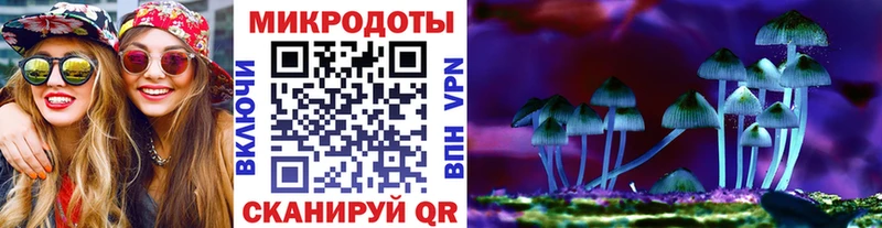 Псилоцибиновые грибы Psilocybe  Воткинск 